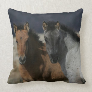 Mustang Foal Headshot Cushion