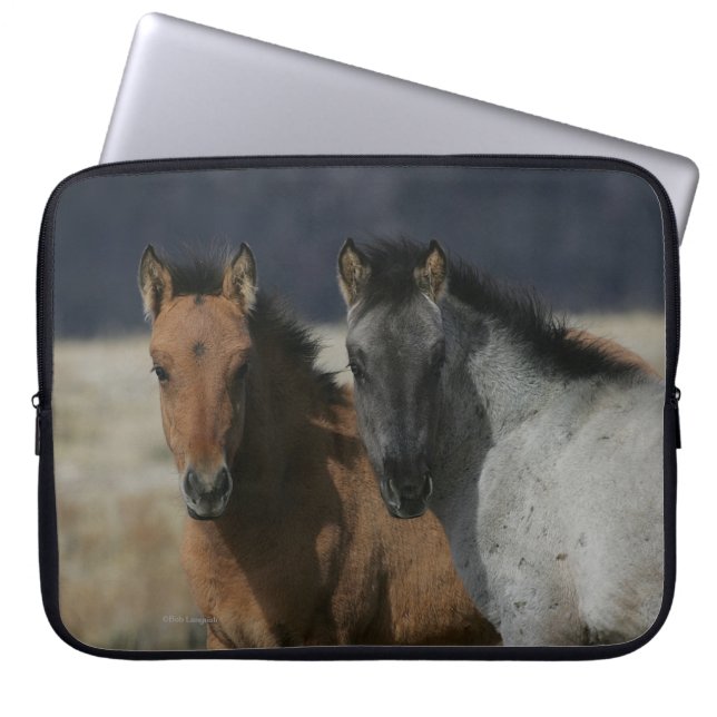 Mustang Foal Headshot Laptop Sleeve (Front)