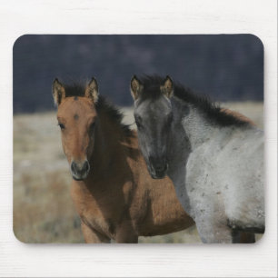 Mustang Foal Headshot Mouse Mat