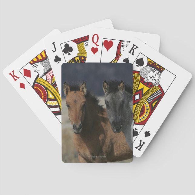 Mustang Foal Headshot Playing Cards (Back)
