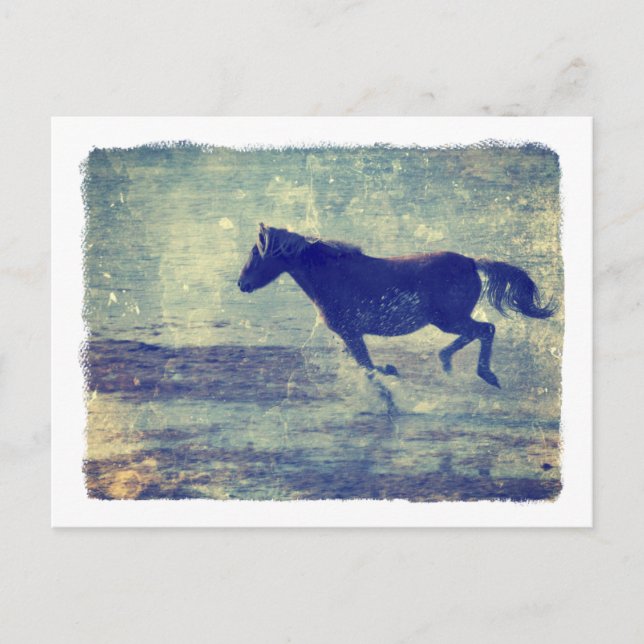 Mustang Gallops On Beach Postcard (Front)