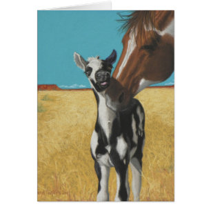 Mustang, horse