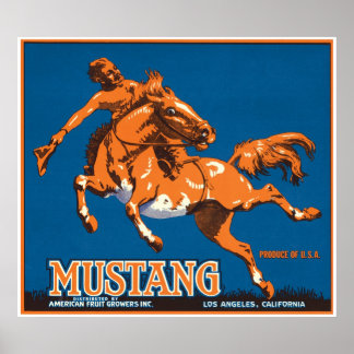 Mustang Horse Cowboy Los Angeles California USA Poster