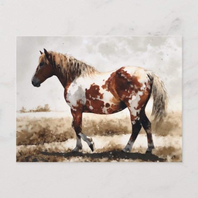 Mustang Horse Painting Postcard (Front)