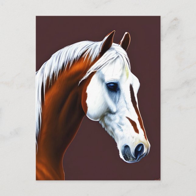 Mustang Horse Postcard (Front)