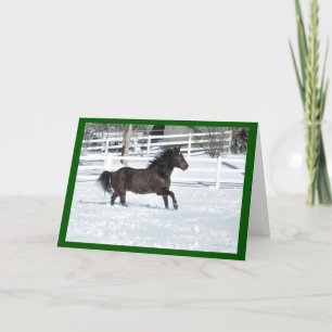Mustang Horse Running Snow Seasons Greeting Card