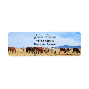 Mustang Horses Return Address