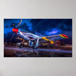 Mustang in the Dark Poster