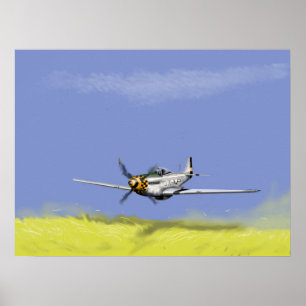 Mustang Low Pass Poster