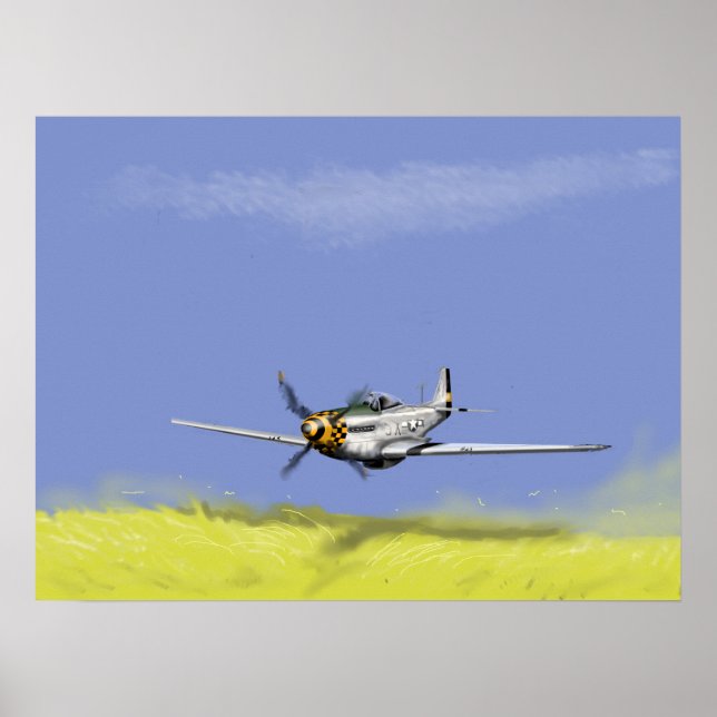 Mustang Low Pass Poster (Front)