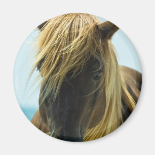 Mustang Magnet