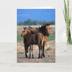 Mustang Mare and Foal Standing With Birds Card