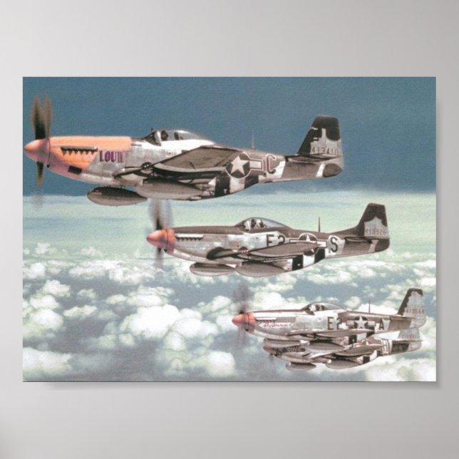 Mustang Patrol Poster (Front)