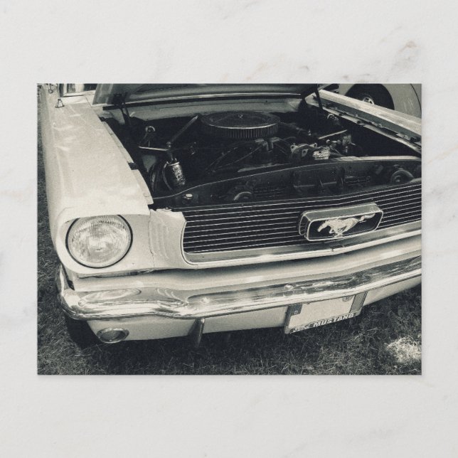 Mustang postcard (Front)