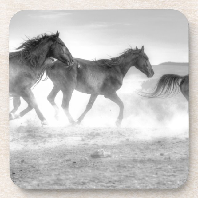 Mustang Run Coaster (Front)