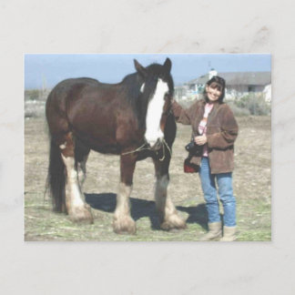 Mustang-Spirit Post Card