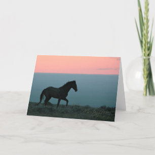 Mustang Stallion at Sunset Greeting Card