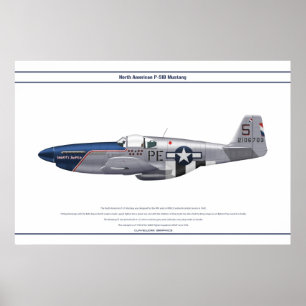 Mustang USA 328FS 1 Poster