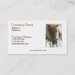 Mustang Wild Horse Business Card