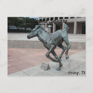 Mustangs of Las Colinas # 13 Postcard