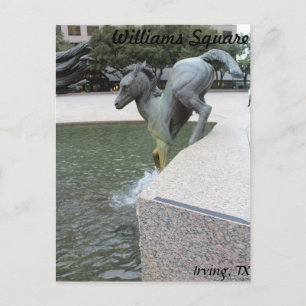 Mustangs of Las Colinas # 18 Postcard