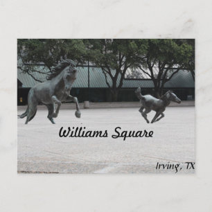 Mustangs of Las Colinas # 19 Postcard