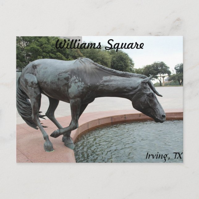Mustangs of Las Colinas # 1 Postcard (Front)