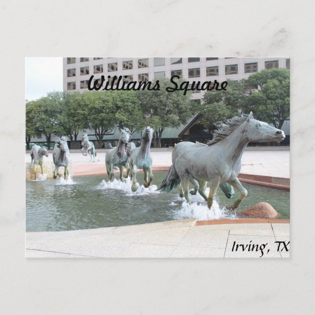 Mustangs of Las Colinas # 21 Postcard (Front)