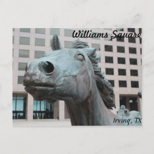 Mustangs of Las Colinas # 22 Postcard