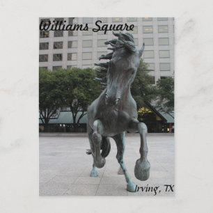 Mustangs of Las Colinas # 25 Postcard