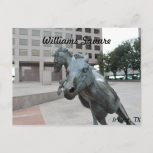Mustangs of Las Colinas # 26 Postcard