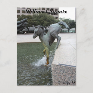 Mustangs of Las Colinas # 7 Postcard