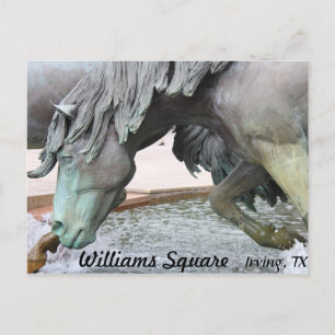 Mustangs of Las Colinas # 8 Postcard