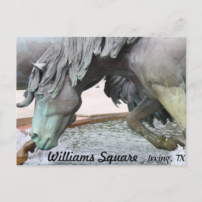 Mustangs of Las Colinas # 8 Postcard (Front)