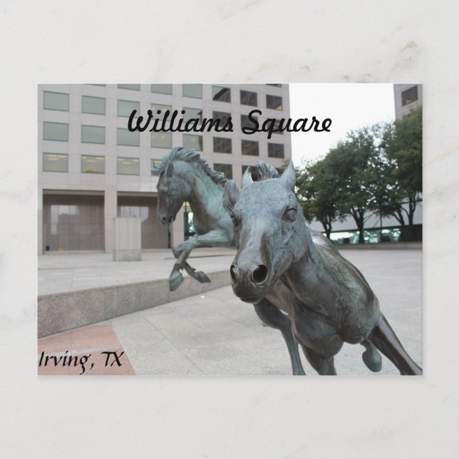 Mustangs of Las Colinas # 9 Postcard (Front)