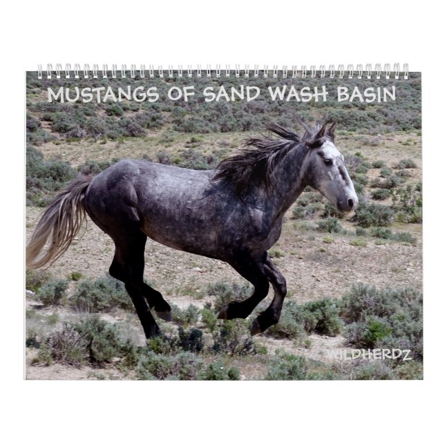 Mustangs of Sand Wash Basin Colorado Calendar (Cover)
