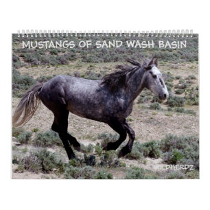 Mustangs of Sand Wash Basin Colorado Calendar