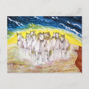MUSTANGS POSTCARD