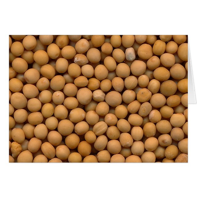 Mustard (Front Horizontal)