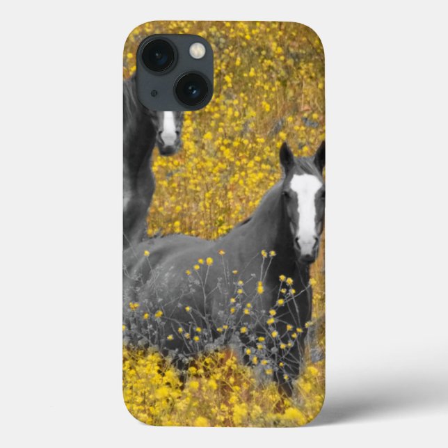 Mustard and Horses Case-Mate iPhone Case (Back)