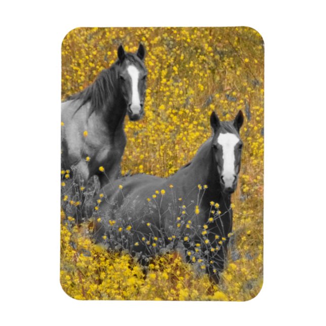 Mustard and Horses Magnet (Vertical)
