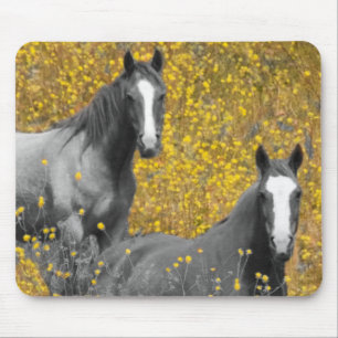 Mustard and Horses Mouse Mat