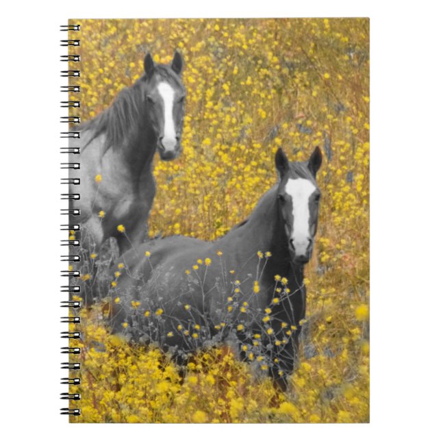 Mustard and Horses Notebook (Front)