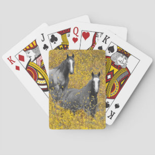 Mustard and Horses Playing Cards
