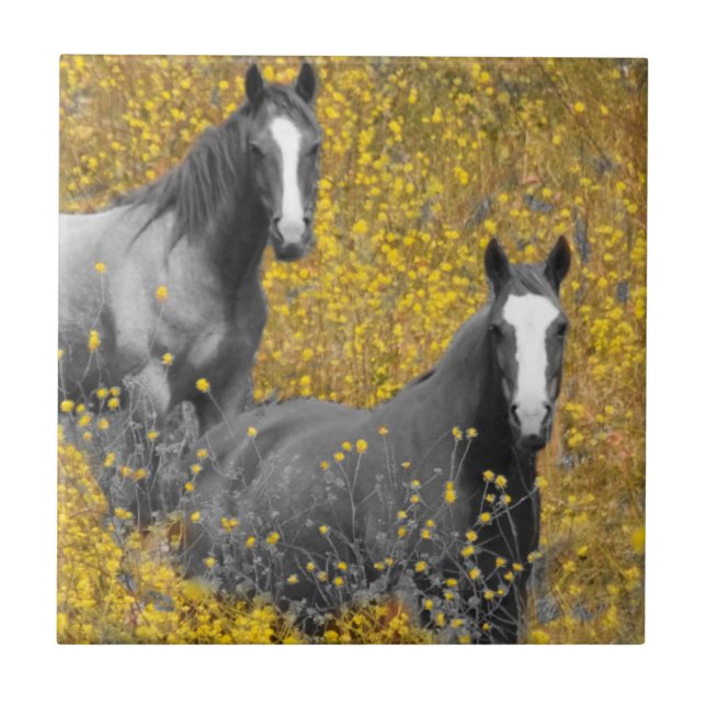 Mustard and Horses Tile (Front)