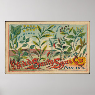 Mustard, Cloves, Cinnamon Spices Advertisement Poster