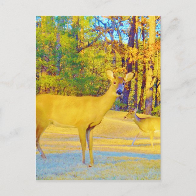 Musturd Coloured Deer with light blue Postcard (Front)