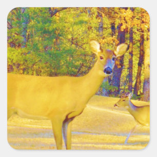 Musturd Coloured Deer with light blue Square Sticker