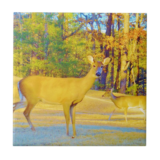 Musturd Coloured Deer with light blue Tile (Front)