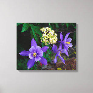 Mutant Columbine Wildflowers Canvas Print